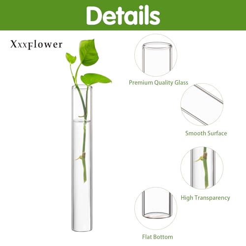XXXFLOWER Glass Propagation Stations Accessories 4 Tube Vases - size: Size A
