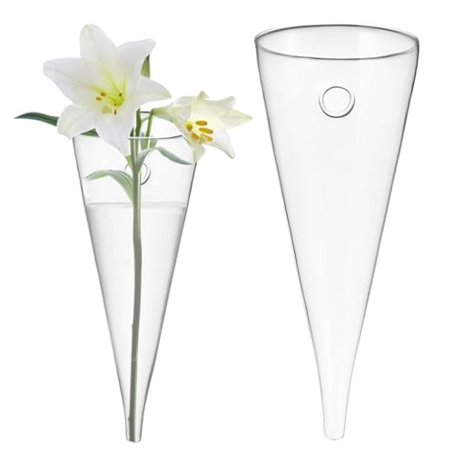 BESTYASH Wall Hanging Vase Clear Glass Flower Vase Bottle for Plant Cuttings Air Plant Hanger Water Circular Wall Mounted Glass Planter for Bedroom Living Room Office Decor