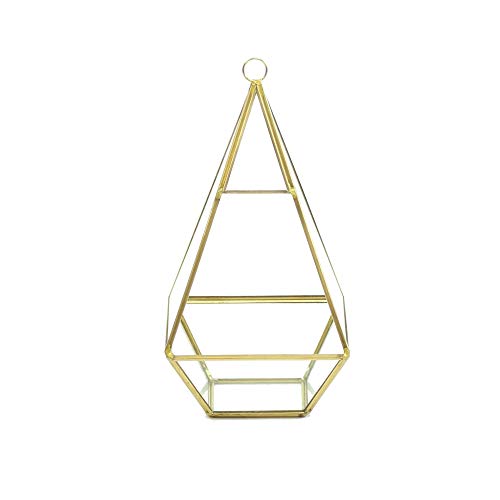 WGV Hanging Geometric Planter Terrarium Width 5" Height 9.5" Clear Glass Gold Frame DIY Succulent air Plant Miniature Fairy Garden Windowsill Decor Raised Tall Pyramid 1 Piece - color: Gold, size: Narrow Geo-Pylon