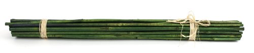 SuperMoss (12460) Bamboo Plant Stakes – Natural & Colored Bamboo Supports for Plants, Vases, and Home Décor, 24 in (25pk), Basil - color: Basil, size: 24" (25 pack)