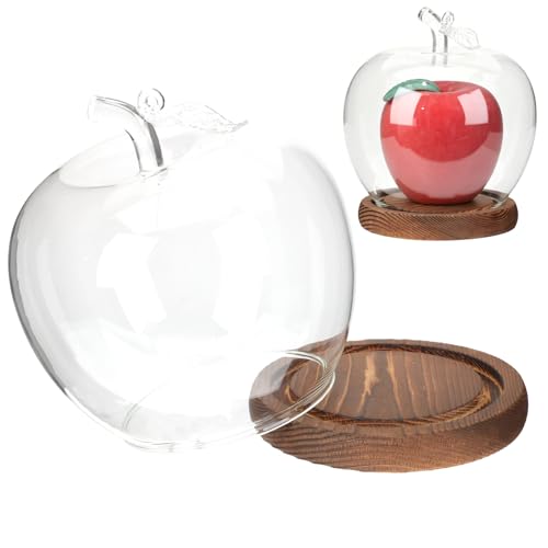 Ipetboom Apple Glass Display Dome, Clear Cloche Showcase with Wood Base