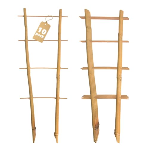 Bamboo Trellis 10 Pack, 16 Inches S2 Natural Bamboo Plant Ladder Stakes, Fan-Shaped Plant Support Stand for Orchid Vines, Monarchs, Ivy and Other Plants Climbing, Help Plant Growth - size: 16in Ladder Shaped, Pack of 10