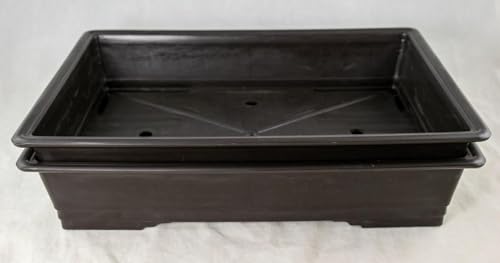 Yubonzai Japanese Rectangular Heavy Duty Dark Brown Plastic Bonsai Training Pot, Cactus & Succulent Planter - 13"x 9.25"x 2.75" (2 Pots) - size: 2 Pots