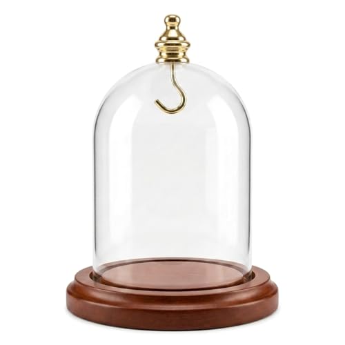 3 x 4 Pocket Watch Glass Display Dome Cloche, Gold Knob & Hook, Walnut MDF Base