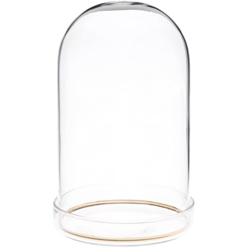 Plymor 3" x 5" Glass Display Dome Cloche with Gold Rim (Clear Glass Tray Base) - size: 3" x 5"