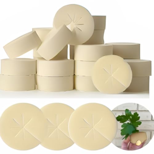 XCEL 200 Pack Cloning Collars Inserts 2" Premium Rubber Foam Cloner Plug Fits 2 inch net pots Hydroponics (200) (Cream) - color: White
