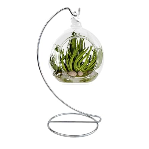 9 Inch Silver Ornament Display Stand, Metal Ornament Hanger Stand for Hanging Glass Globe, Air Plant Terrarium, Witch Ball, Christmas Ornament and Home Wedding Decoration (1, 9x4 Silver) - size: 9x4" Silver