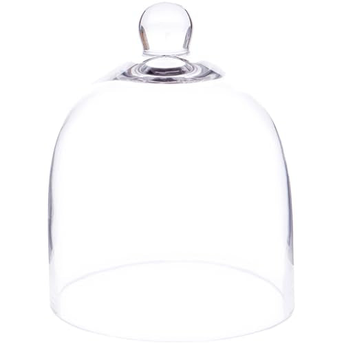 Plymor 6" x 7" Bell Jar Glass Display Dome Cloche (Small - Interior Size 5.75 inch x 5.75 inch) - size: 6" x 7"