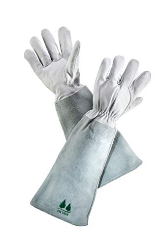 Leather Gardening Gloves by Fir Tree. Premium Goatskin Gloves With Cowhide Suede Gauntlet Sleeves. Perfect Rose Garden Gloves. Men's and Women's Sizes. M-8 (See Size Chart Photo) - size: Medium (Pack of 1)