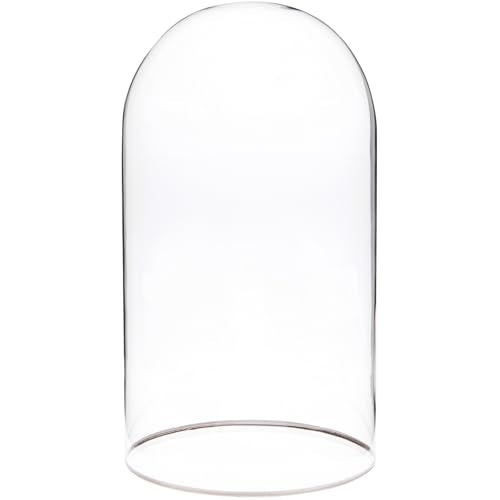 Plymor 5.5" x 10" Glass Display Dome Cloche with Silver Rim (no Base) - size: 5.5" x 10"