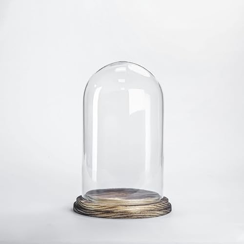 CYS EXCEL Glass Dome Cloche (H:9.25" D:5.5”) with Lightly Charred Wood Base Decorative Showcase Display for Antique Collectible Bell Jar Terrarium Dessert Cover - color: Lightly Charred, size: H-9.25" D-5.5"