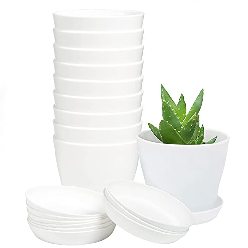 TDHDIKE 10 Pcs Plastic Planters Indoor Flower Plant Pots (White) | Mini Seedlings Nursery Pot with Pallet, Modern Decorative Gardening Containers - color: White