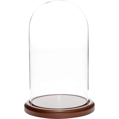 Plymor 5.5 inch x 10 inch Glass Display Dome Cloche (Dark Wood Base) - color: Dark Wood Base