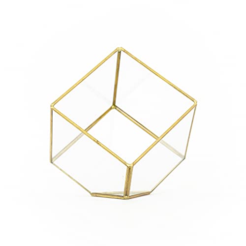 Heptahedron Geometric Glass Terrarium - Air Plant Tillandsia Holder - Home and Garden Decor Plant Pot - Easy Care Indoor and Outdoor Plant Container