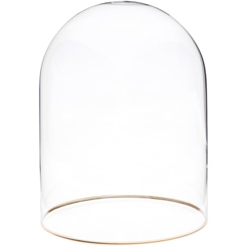 Plymor 4.5" x 6" Glass Display Dome Cloche with Gold Rim (no Base) - size: 4.5" x 6"