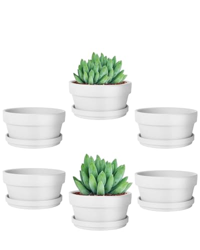 vensovo 4.5 Inch White Terracotta Succulent Pots with Saucers, 6 Pack - color: White, size: 4.5 Inch