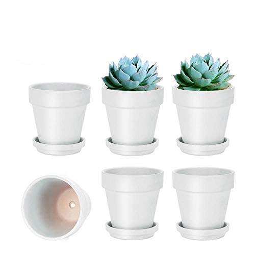 vensovo 4 Inch White Terracotta Plant Pots with Saucer - 6 Pack Clay Flower Pots with Drainage, Great for Plants, Crafts, Wedding Favor - color: White