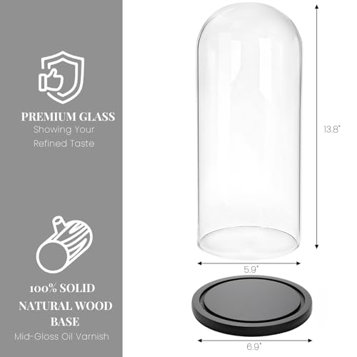 ZOOFOX 13.8 Inch Tall Glass Dome with Base, Clear Glass Empty Display Cloche, Decorative Bell Jar for Succulents, Collectibles, Fairy Lights, Photos, Medals, Heirlooms