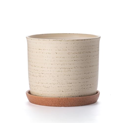 8 Inch Ceramic Plant Pot with Drainage Hole & Separate Saucer | Indoor/Outdoor Planter with Tray - Brush Flowerpot for Home & Office - color: Brush Color, size: 8 inch