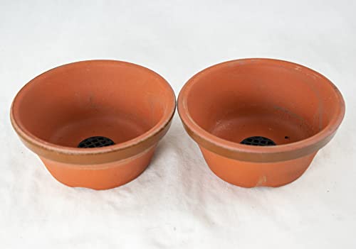 Japanese Tokoname Bonsai Training Pot, Cactus & Succulent Planter with Mesh - 4.25" to 7.25" (2PCS 4"x 4"x 1.5") - size: 2PCS 4"x 4"x 1.5"