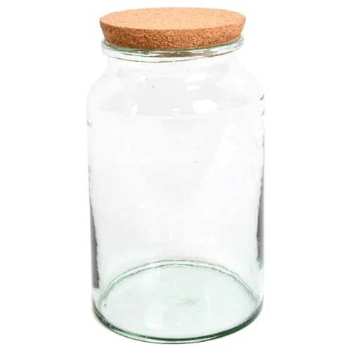 Esschert Design AGG69 Half Open Terrarium Bottle Medium
