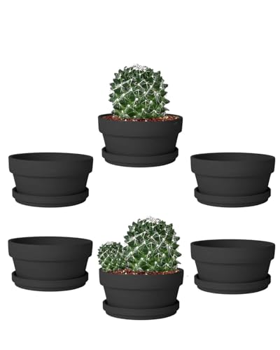 vensovo 5.7 Inch Black Terracotta Succulent Pots with Saucers, 6 Pack - color: Black, size: 5.7 Inch