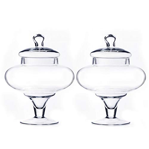 CYS EXCEL 10" Glass Apothecary Jars (Pack of 2) | Decorative Candy Buffet Jar Sets | Elegant Glass Storage Containers