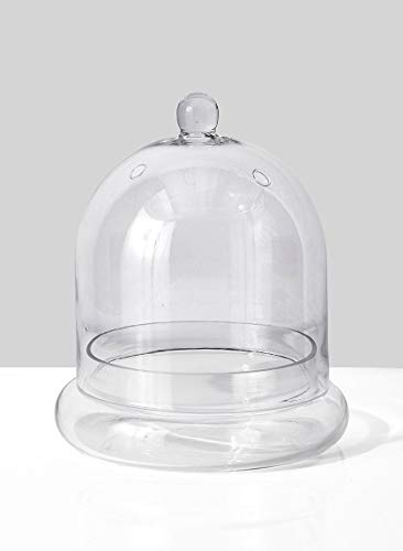 Serene Spaces Living Glass Cloche, Ideal as a Terrarium, Measures 9.5" Tall and 7.5" Diameter - color: Medium 9.5" Tall x 7.5" Diameter, Single