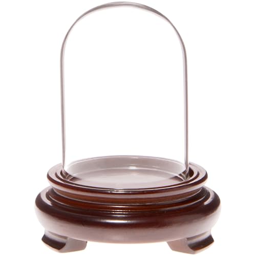 Plymor 2" x 3" Mini Glass Display Dome Cloche (Walnut Wood Veneer Footed Base) - color: Walnut Wood Veneer Base