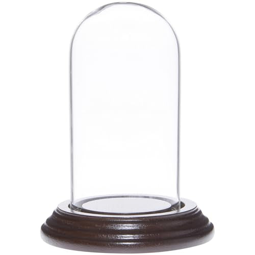 Plymor 2" x 4" Mini Glass Display Dome Cloche (Dark Mahogany Veneer Base) - color: Dark Mahogany Veneer Base