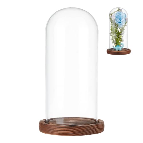 NBEADS Clear Glass Dome, Clear Glass Display Case with Camel Wood Base Decorative Display Dome Case for Plants Flower Display Photos Medals Decoration, Finish Size:4.1x7.5 Inch