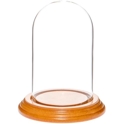 Plymor 3" x 5" Glass Display Dome Cloche (Oak Veneer Base) - color: Oak Veneer Base