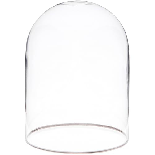Plymor 4" x 5.5" Glass Display Dome Cloche with Silver Rim (no Base) - size: 4" x 5.5"
