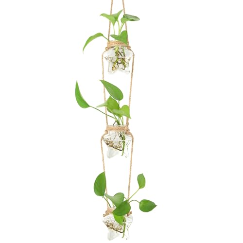 XXXFLOWER 3 Tiers Star Shaped Glass Vase Wall Hanging Propagation Station | Hanging Planter Terrarium for Plant Cutting, Bathroom Wall Decor Home Office Living Room Garden Decor - size: 3 Star Vases