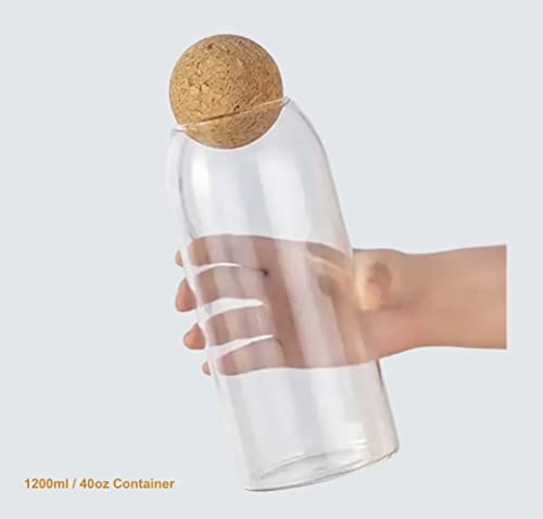 Glass Terrarium with Airtight Wood Lid (Ball Cork) | Closed Terrarium Planter | Clear Glass Bottle Jar Container | Set of 3 | Moss Terrarium Jar (3 Set of Jars) - size: 3 Set of Jars