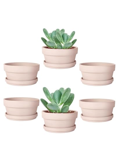 vensovo 3.7 Inch Pink Terracotta Succulent Pots with Saucers, 6 Pack - color: Pink, size: 3.7 Inch