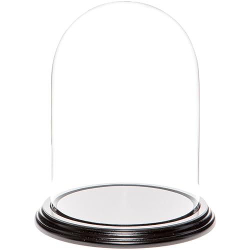 Plymor 5.5" x 8" Glass Display Dome Cloche (Black Wood Veneer Base) - color: Black Wood Veneer Base