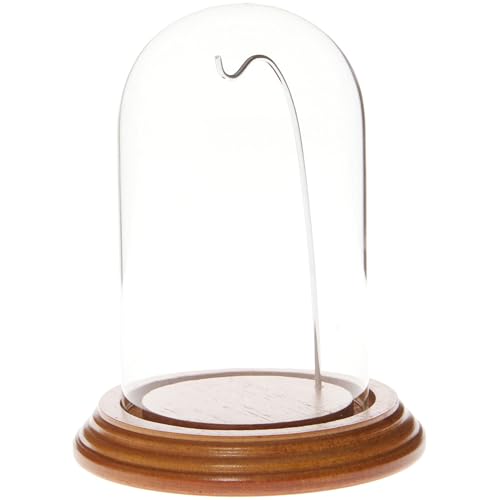 Plymor 3" x 5" Watch Glass Display Dome Cloche (Oak Veneer Base & Silver Wire) - color: Oak Base / Silver Wire