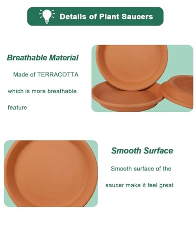 vensovo 11 Inch Terracotta Plant Saucer Pots Tray - 3 Pcs Round Planter Saucers for Indoor & Outdoor Plants, Large Clay Trays Perfect for 10,10.5,11 Inch Flower Pot | 3 pack large terracotta planter saucers for 11 and 11.5 inch flower pots, ideal for catc