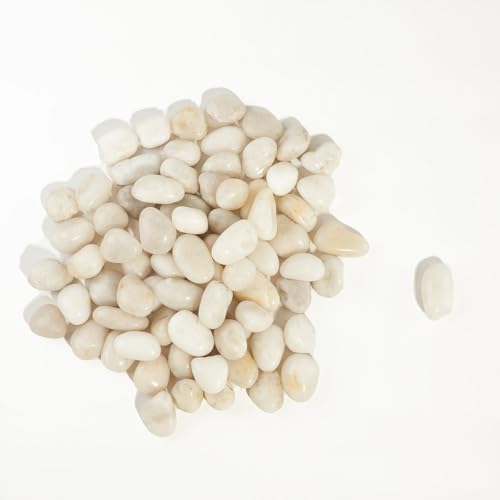 2 LBS River Rocks, StoneCreek, Decorative Garden Stones for Plant Landscaping, Polished Gravel Filler Pebbles for Home Decoration, Vases, Succulents, Flower Beds and Fish Tanks (White, Medium) - color: White, size: 2 LBS