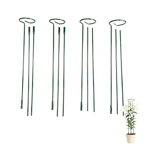 12/24/36 Inch Plant Stakes, 4 Pack Metal Supports for Flowers, Tomatoes