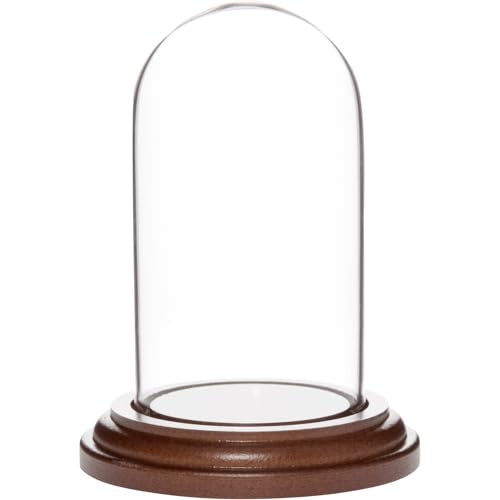 Plymor 1.85 inch x 3.5 inch Mini Glass Display Dome Cloche (Dark Wood Base) - color: Dark Wood Base