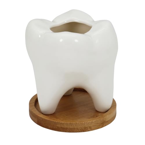 Gemseek Cute White Ceramic Tooth Succulent Planter Pot with Drainage Tray