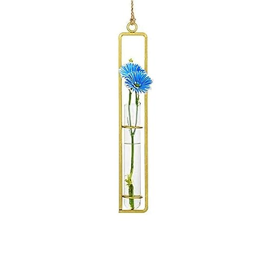 Hanging Glass Planter - Hydroponic Plant Propagation Test Tube Wall Hanging Terrariums Clear Transparent Glass Flower Vase for Indoor Outdoor Home Office Wedding Décor (1*Medium Size (Golden)) - color: 1*medium Size (Golden)
