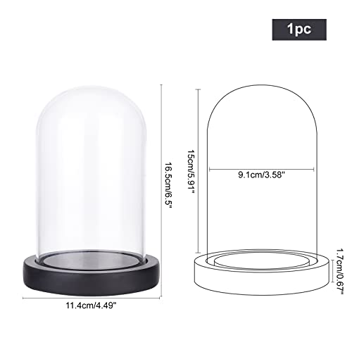 NBEADS Eternal Flower Glass Display Dome Cloche, Glass Display with Wood Pedestal Bell Jar Cloche for Valentine's Day Mother's Day Flower Decorations Crafts, Black Base