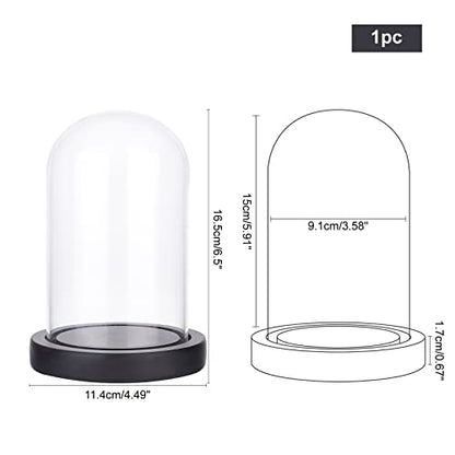 NBEADS Eternal Flower Glass Display Dome Cloche, Glass Display with Wood Pedestal Bell Jar Cloche for Valentine's Day Mother's Day Flower Decorations Crafts, Black Base