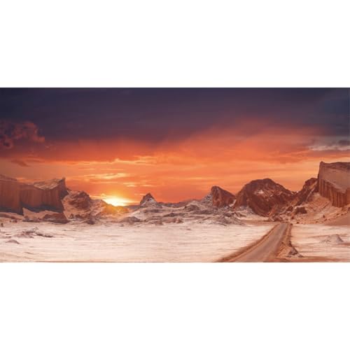 36x20 in Sun Desert Terrarium Backdrop Orange Reptile Habitat Background - size: 36x20in/90x50cm