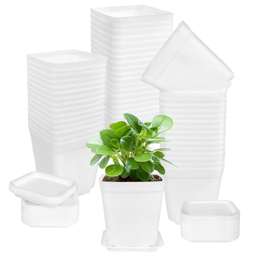 OJYUDD 72 Pcs 3 Inch White Square Plastic Pots with Saucer,White Plastic Plant Seedling Pots,Seedling Nursery Pots Indoor Outdoor for Succulents/Plant,Garden,Office and Balcony Decor - size: 72 Pack White