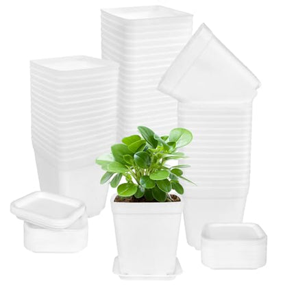 OJYUDD 72 Pcs 3 Inch White Square Plastic Pots with Saucer,White Plastic Plant Seedling Pots,Seedling Nursery Pots Indoor Outdoor for Succulents/Plant,Garden,Office and Balcony Decor - size: 72 Pack White