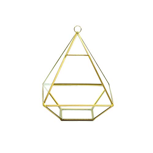 WGV Hanging Geometric Planter Terrarium Width 6" Height 8" Clear Glass Gold Frame DIY Succulent air Plant Miniature Fairy Garden Windowsill Decor Raised Pyramid 1 Piece - color: Gold, size: Wide Geo-Pylon
